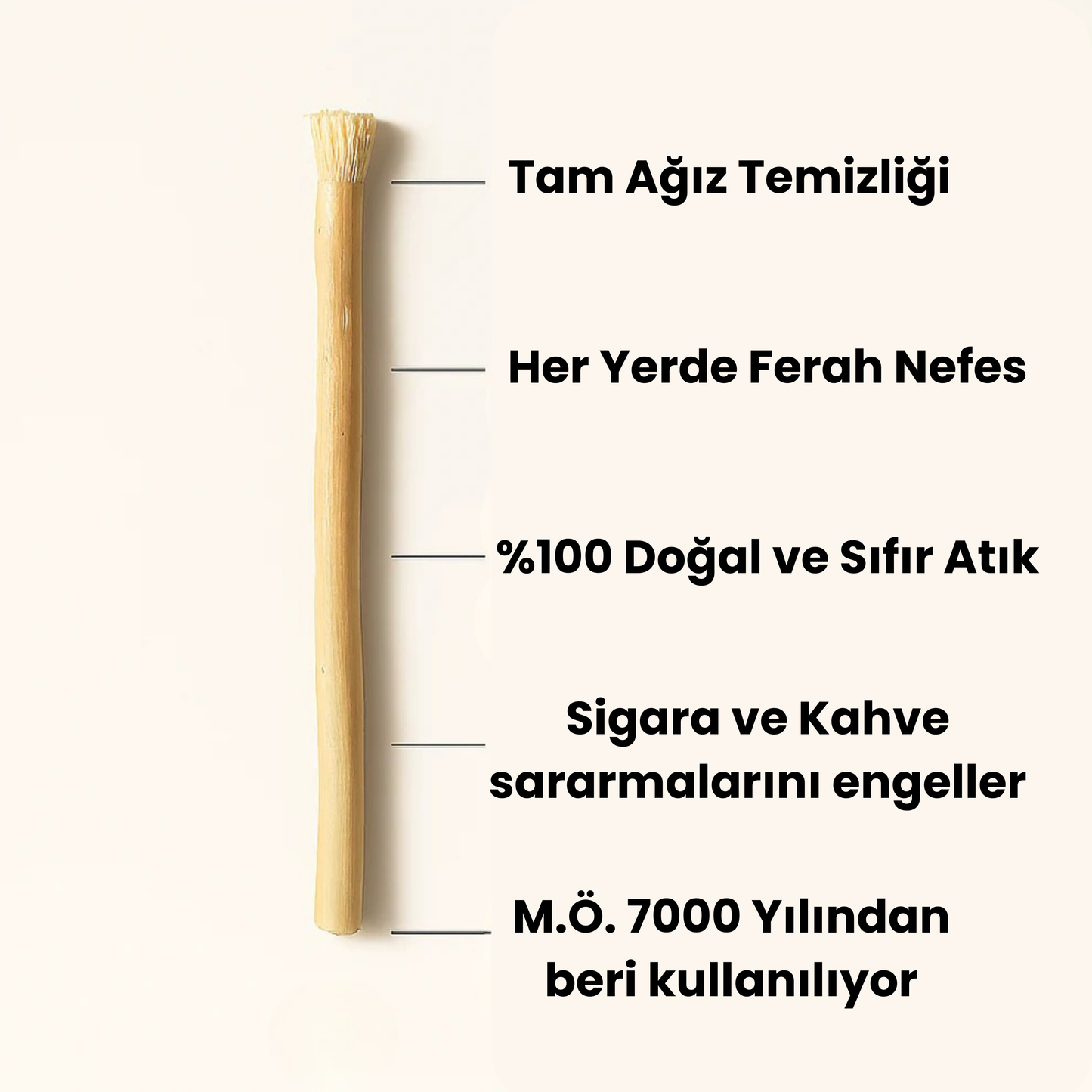 Özmisvak 3'lü Diş Beyazlatma