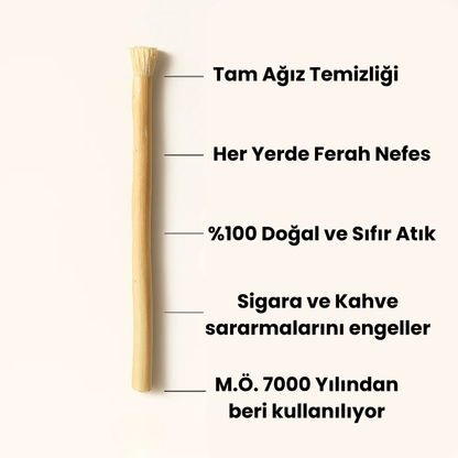 Özmisvak 3'lü Diş Beyazlatma